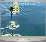 launch icon for video