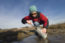 Digging in the mud for science
