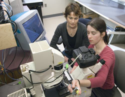 Sheri Simmons, with advisor Katrina Edwards looking on, prepares samples of pond water to view bacterial inhabitants under a microscope.