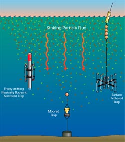 Three sediment trap designs