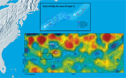 Data from satellite altimeters (below), which measure sea surface heights, show depressions (blue) and bumps (red) that mark cold- and warm-water eddies in the ocean on June 17, 2005. Researchers tracked the southwestward motion (left) of eddy A4 (light-blue) by ship from June 24 to Sept. 12. They released several drifters and a buoy (colored tracks) to capture the swirling motion of the eddy?s currents.