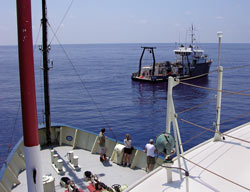 The WHOI-operated Oceanus and BBSR-operated Weatherbird II worked in tandem for two summers, tracking different aspects of eddy dynamics. The ships met at sea several times during the two-year operation.