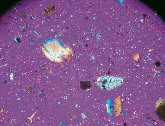 A purple polarizing filter helps WHOI scientists clearly identify each speck of organic and inorganic materials found in cores