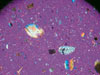 A purple polarizing filter helps WHOI scientists clearly identify each speck of organic and inorganic materials found in cores