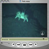 yeti video