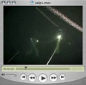 salp video