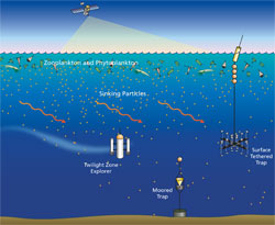 Particles sinking from sunlit surface waters through the ocean?s dimly lit twilight zone are swept sideways by currents.