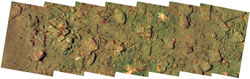 photomosaic of seafloor