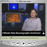 rhian waller video
