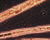 Camel brown Trichodesmium thiebautii