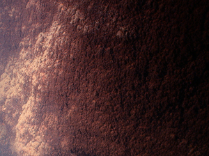 pink, bumpy texture of Pink Terrace buttress in Lake Rotomahana
