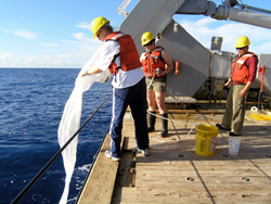 photo of Sonya Dyhrman and student Elizabeth Orchard collecting Trichodesmium in the Sargasso Sea