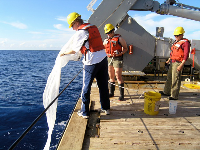 photo of Sonya Dyhrman and student Elizabeth Orchard collecting Trichodesmium in the Sargasso Sea