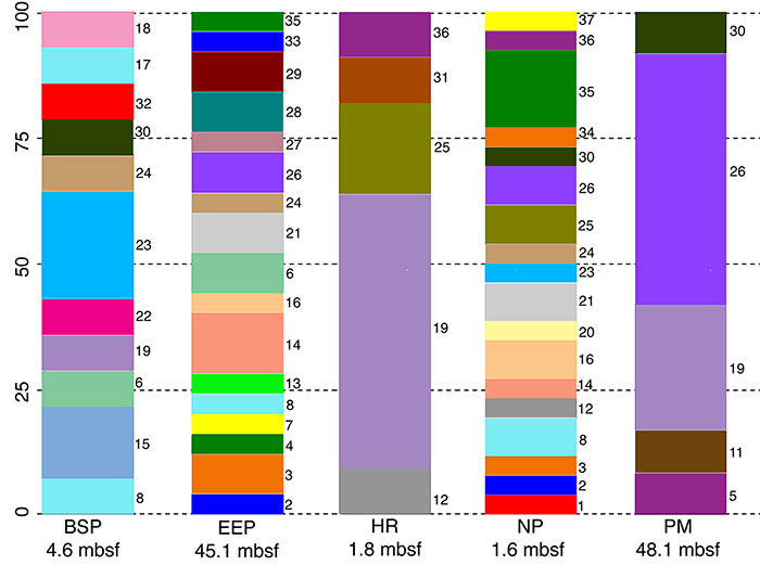 bar graph showing fungal diversity at deep sediment sites