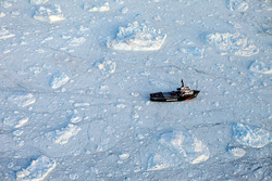 greenpeace vessel in greenland