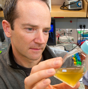 Tracy Mincer in the lab