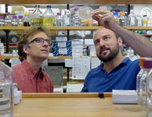 Martin Polz and Otto Cordero of MIT