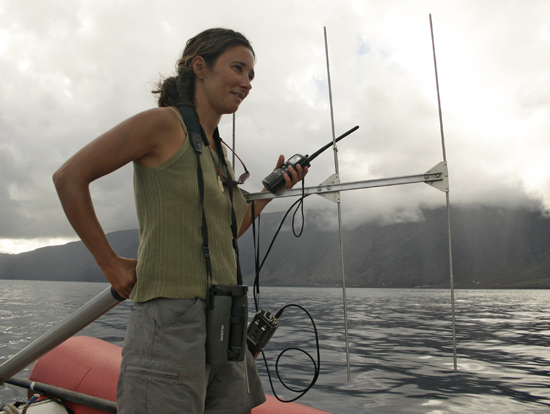Hierro Canary Islands. El Hierro, Canary Islands.