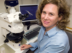 Photo of Sonya Dyhrman at her microscope