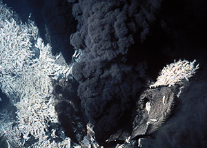 Rimicaris shrimp crowd around black smoker hydrothermal vent