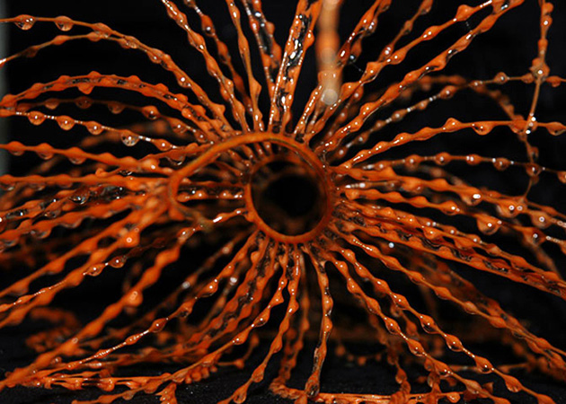 Census of Marine Life