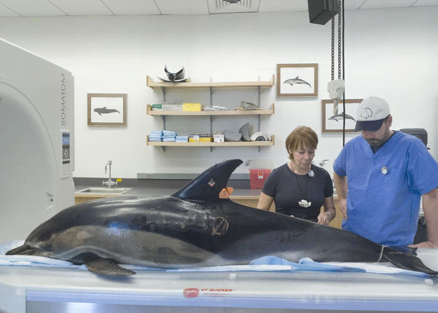 Virtual Tour of the WHOI CSI