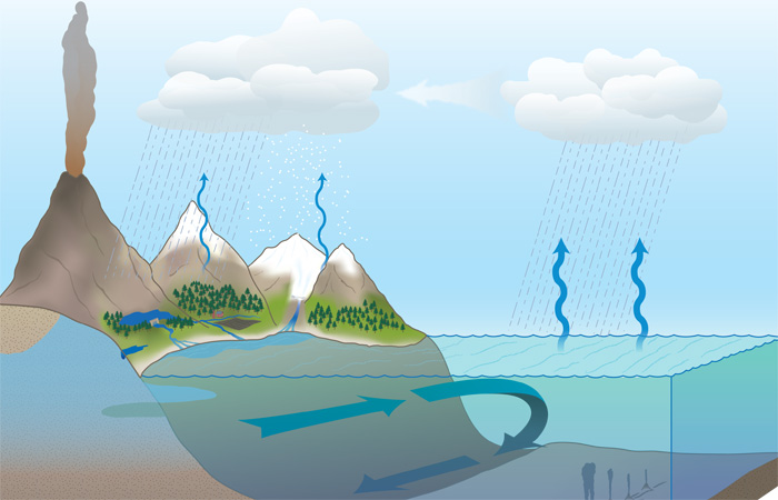 Explore the Water Cycle