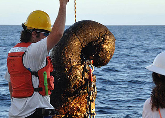 Serendipitous Seafloor Sample