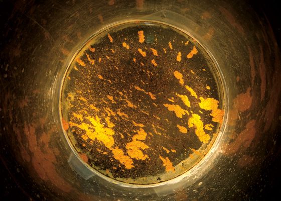  Intriguing Discoveries