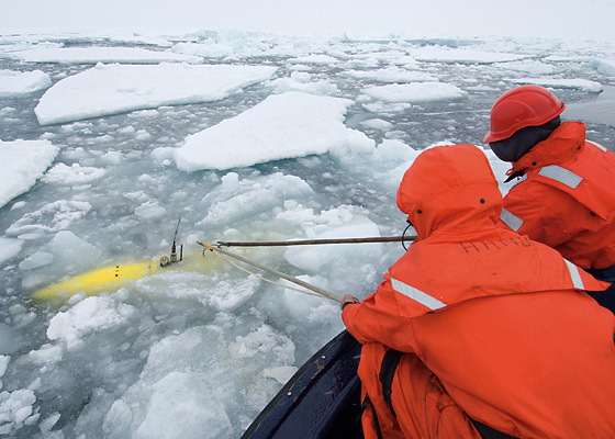 At the Mercy of the Ice