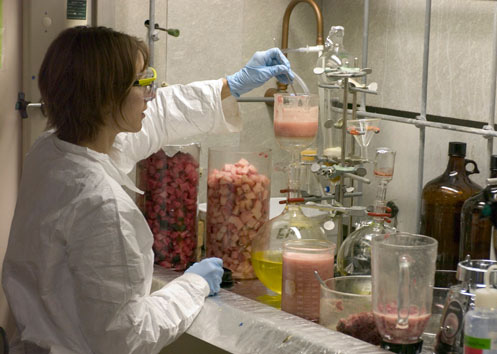 Two bromine compounds found in whale blubber are natural products, not industrial pollutants