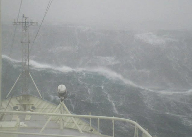 Irminger Sea