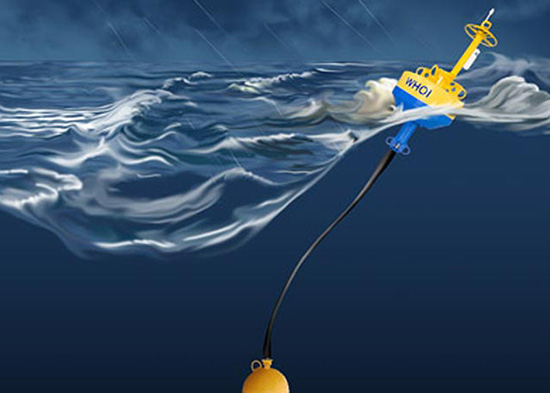 Buoys Help Avert Whale-Ship Collisions