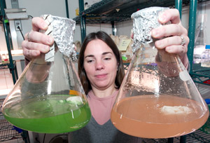 Kristen Rathjen with flasks of marine microbe cultures