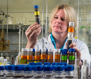 Virginia Edgcomb checks tubes containing sediment microbes from near Deepwater Horizon spill