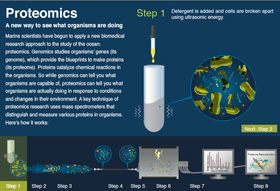 Proteomics