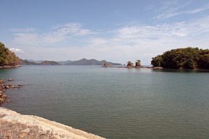 Aquarium Cove