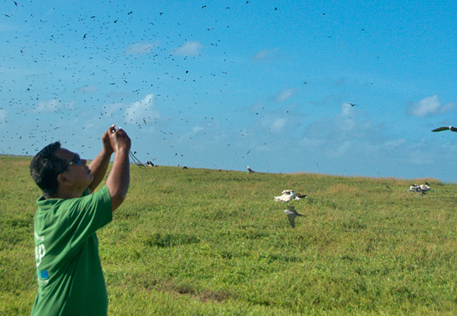 abu Teroroko Director of the Phoenix Islands Protected Area