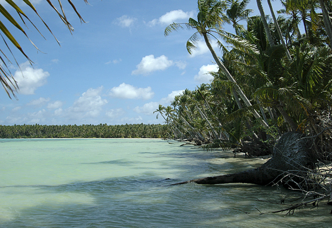 coral atoll of Nikumaroro
