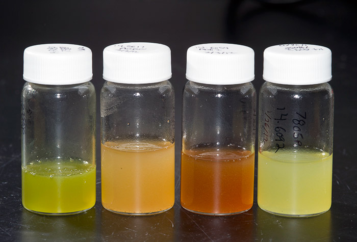 Microbial extracts of various colors in vials