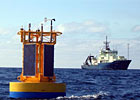 Nootka Buoy