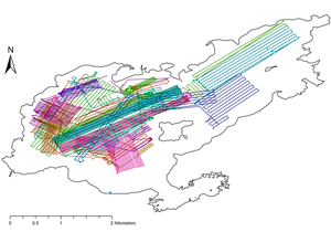 map showing tracks taken by REMUS vehicles in Lake Rotomahana