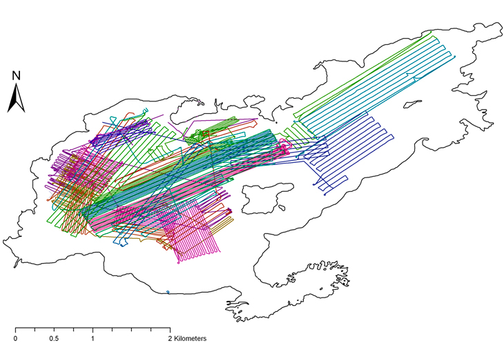 map showing tracks taken by REMUS vehicles in Lake Rotomahana
