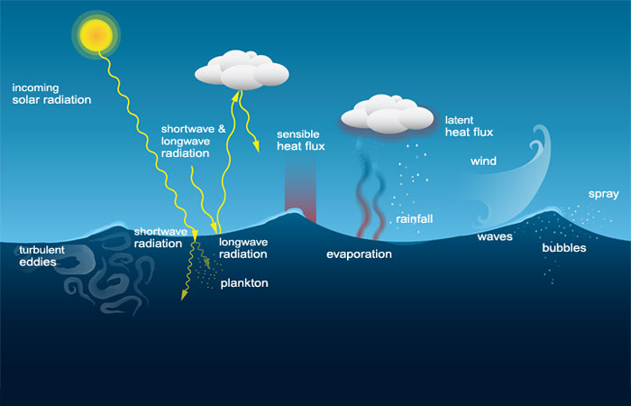 How Water Cycle Affects Weather Patterns 101