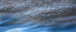 Oil in the Ocean