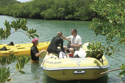 Tropical Research Initiaitve