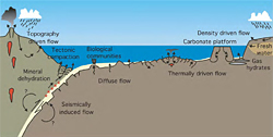 ub-seafloor fluid flow systems in geological, biological, and hydrographic environments.