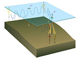 Schematic of a Global Site