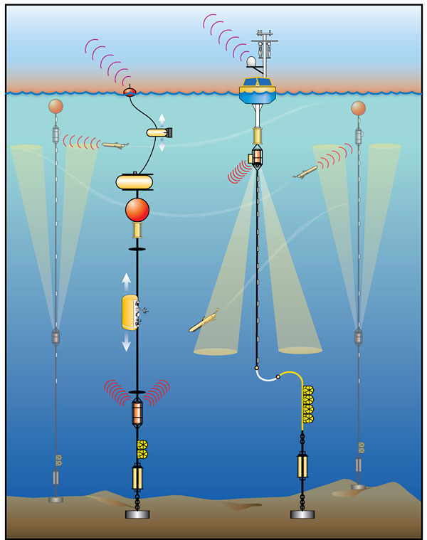 Schematic of a global site.
