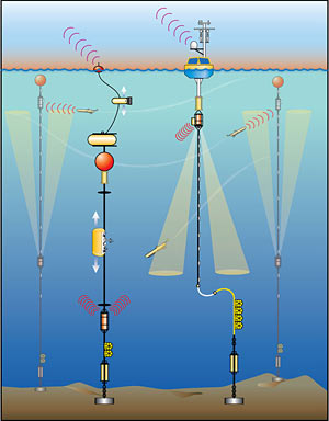 Schematic of a global site.